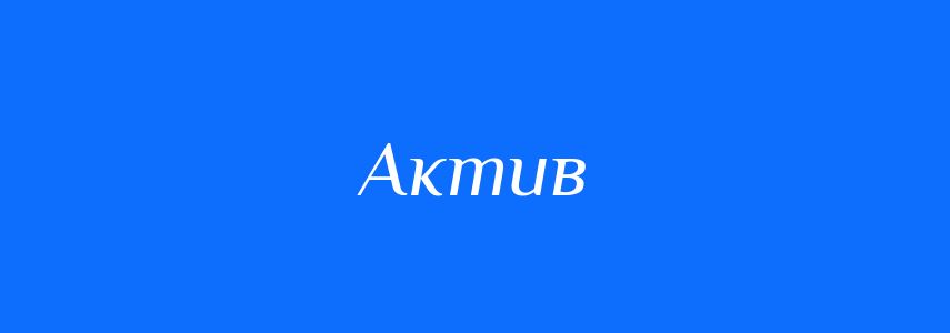 Омоніми до слова Актив