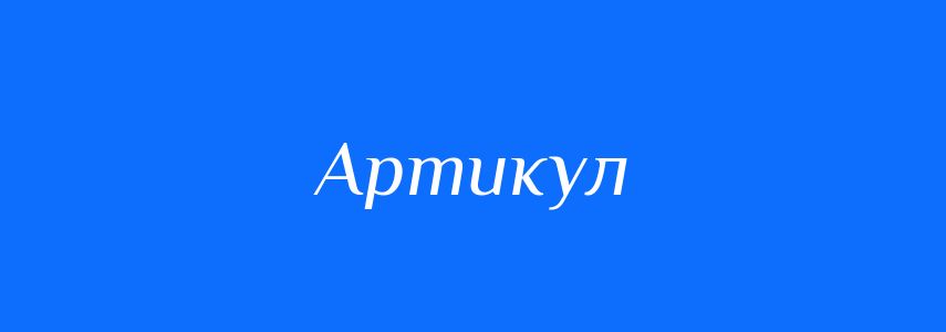 Омоніми до слова Артикул