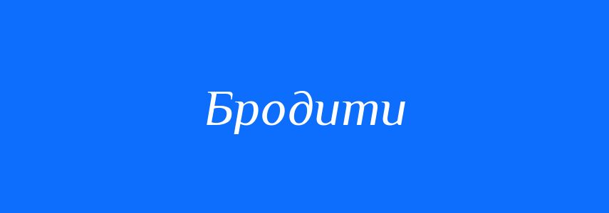 Омоніми до слова Бродити
