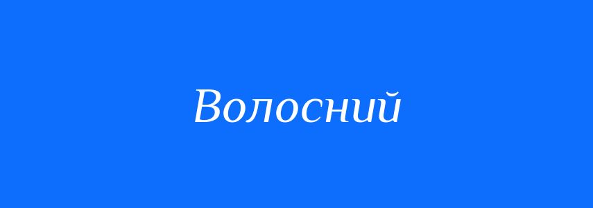 Омоніми до слова Волосний