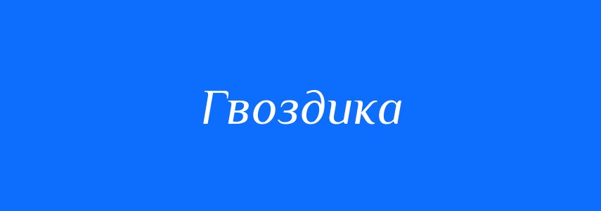 Омоніми до слова Гвоздика