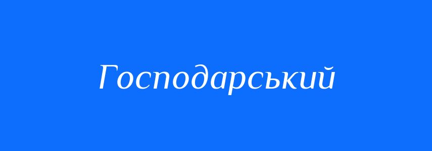 Омоніми до слова Господарський