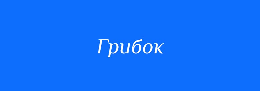 Омоніми до слова Грибок