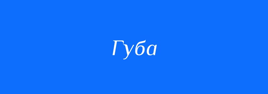 Омоніми до слова Губа