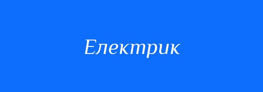 Омоніми до слова Електрик