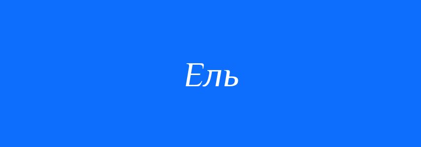 Омоніми до слова Ель