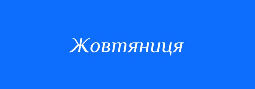 Омоніми до слова Жовтяниця