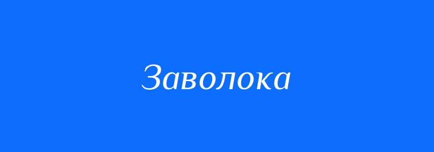 Омоніми до слова Заволока