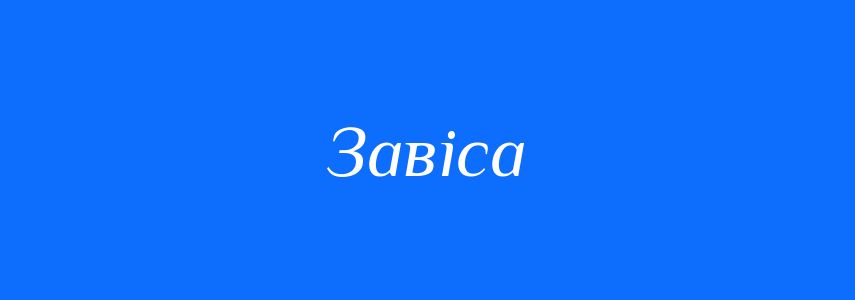 Омоніми до слова Завіса