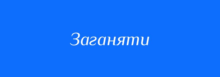 Омоніми до слова Заганяти