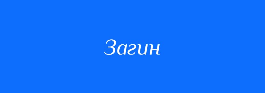 Омоніми до слова Загин