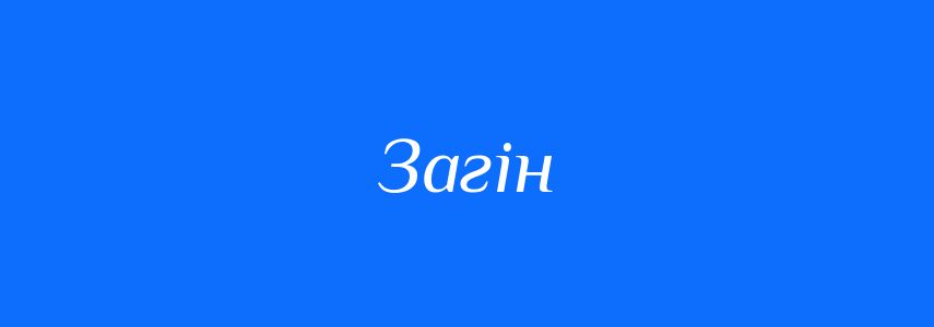 Омоніми до слова Загін