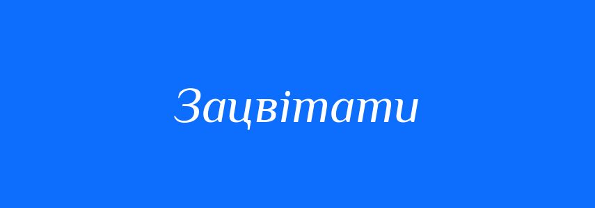 Омоніми до слова Зацвітати