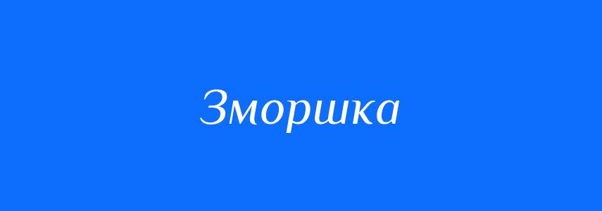 Омоніми до слова Зморшка
