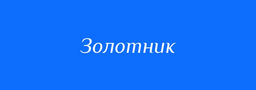 Омоніми до слова Золотник