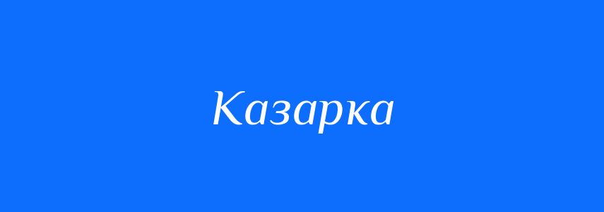 Омоніми до слова Казарка
