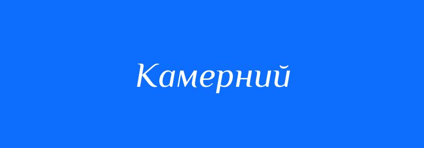 Омоніми до слова Камерний