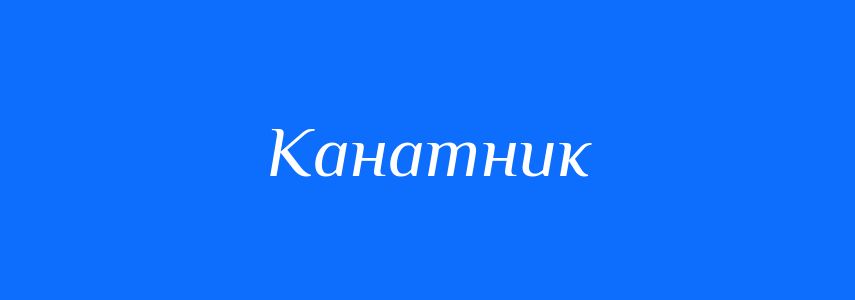 Омоніми до слова Канатник