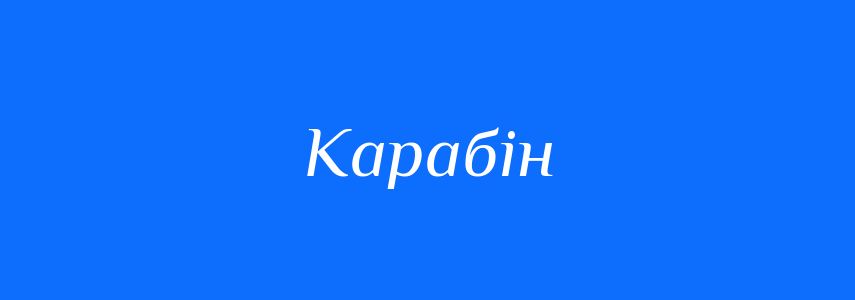 Омоніми до слова Карабін