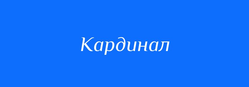 Омоніми до слова Кардинал