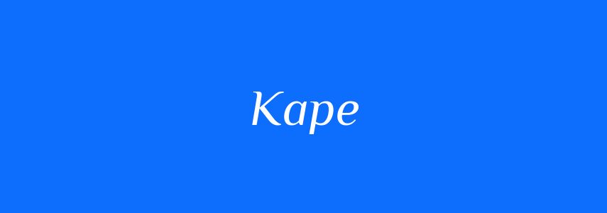 Омоніми до слова Каре