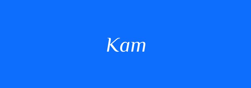 Омоніми до слова Кат