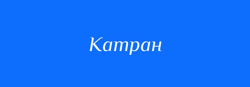 Омоніми до слова Катран