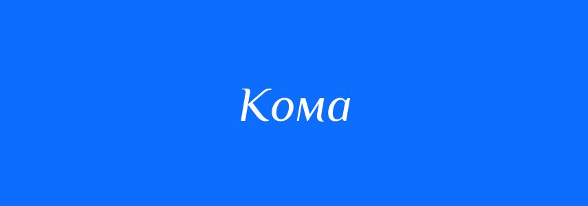 Омоніми до слова Кома