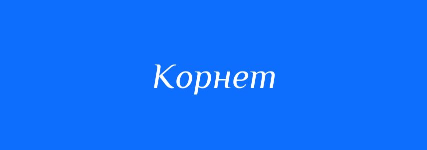 Омоніми до слова Корнет