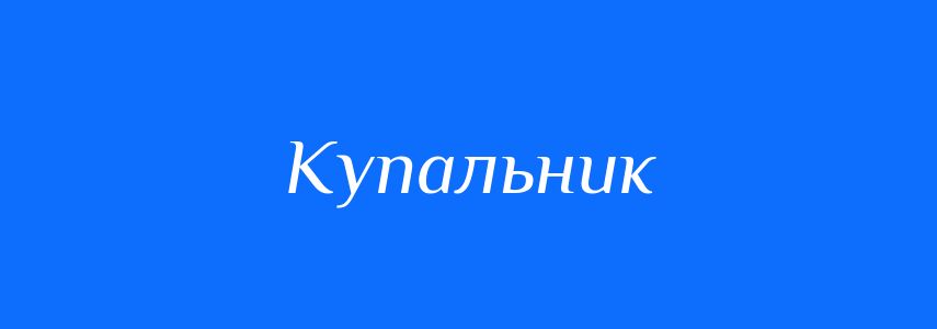 Омоніми до слова Купальник
