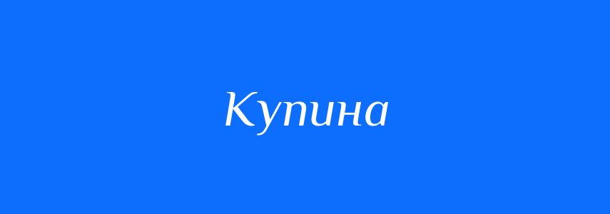 Омоніми до слова Купина