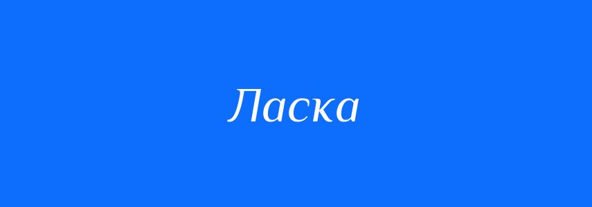 Омоніми до слова Ласка