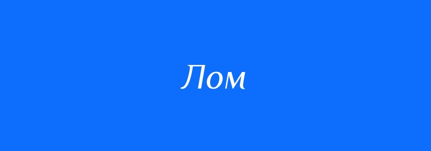 Омоніми до слова Лом