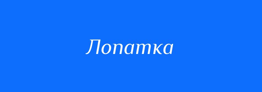 Омоніми до слова Лопатка