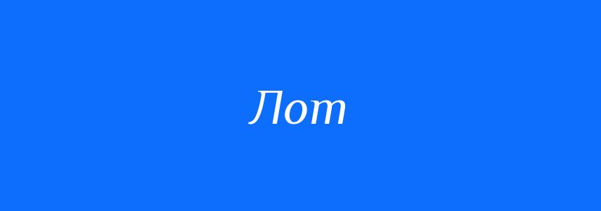 Омоніми до слова Лот
