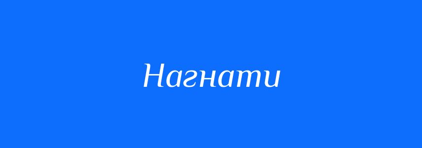 Омоніми до слова Нагнати