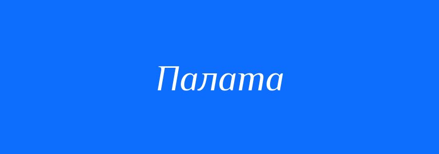 Омоніми до слова Палата