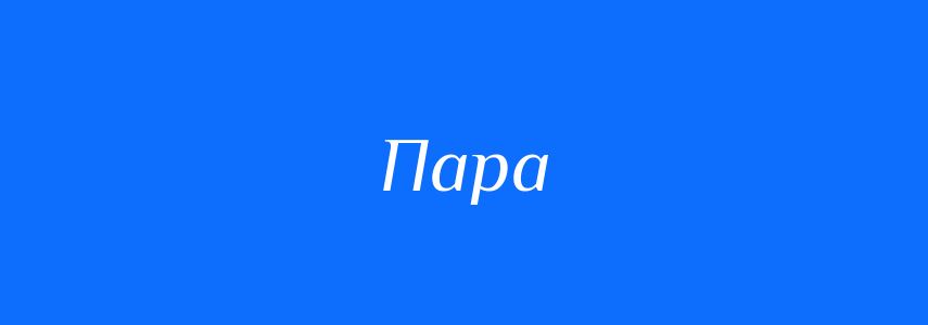 Омоніми до слова Пара