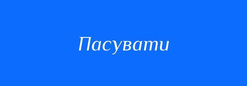 Омоніми до слова Пасувати