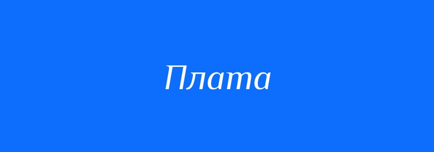 Омоніми до слова Плата