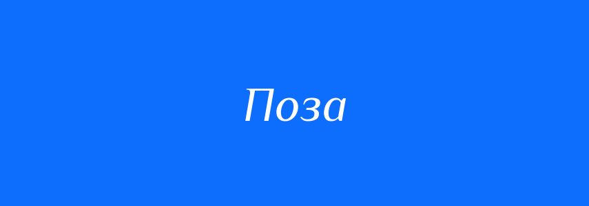 Омоніми до слова Поза
