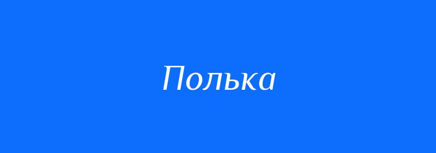 Омоніми до слова Полька