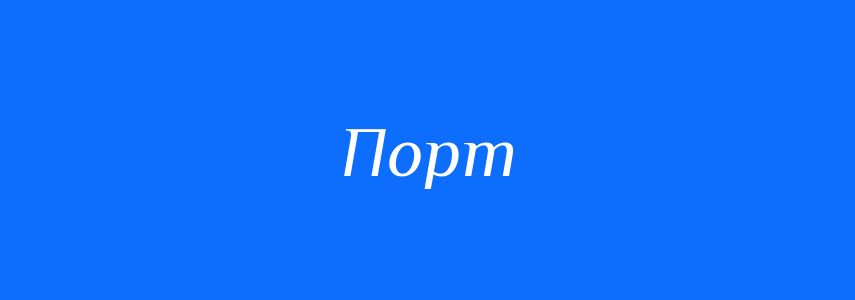Омоніми до слова Порт
