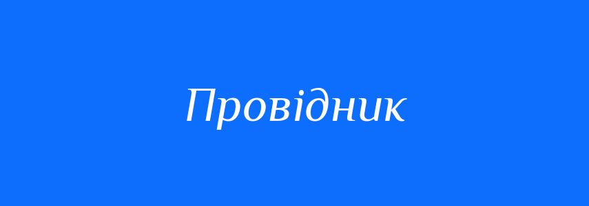 Омоніми до слова Провідник