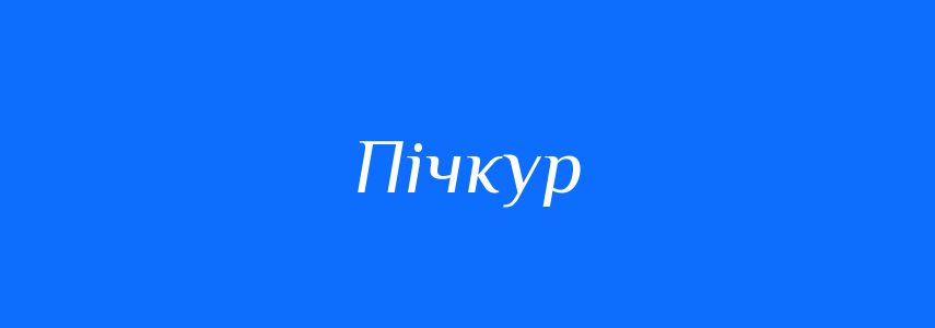 Омоніми до слова Пічкур