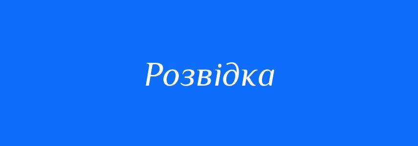 Омоніми до слова Розвідка