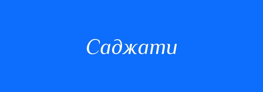 Омоніми до слова Саджати