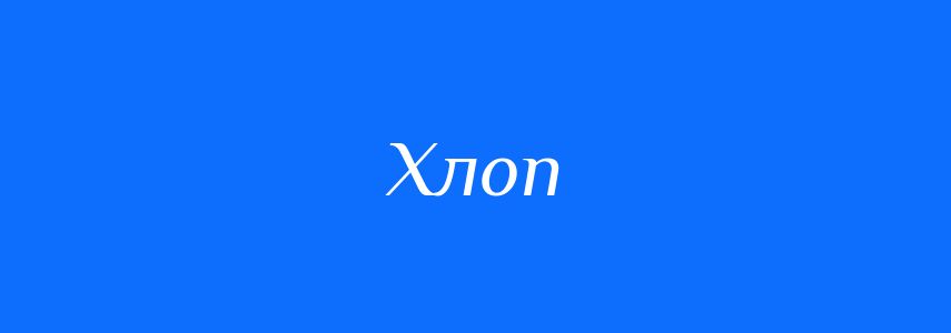 Омоніми до слова Хлоп