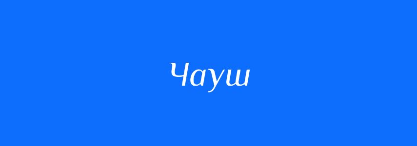 Омоніми до слова Чауш