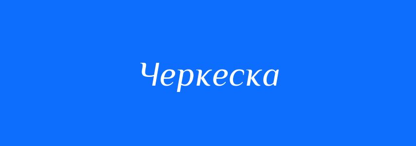 Омоніми до слова Черкеска